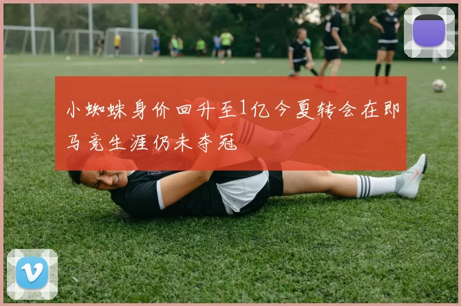 小蜘蛛身价回升至1亿今夏转会在即马竞生涯仍未夺冠